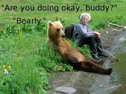 Bearly